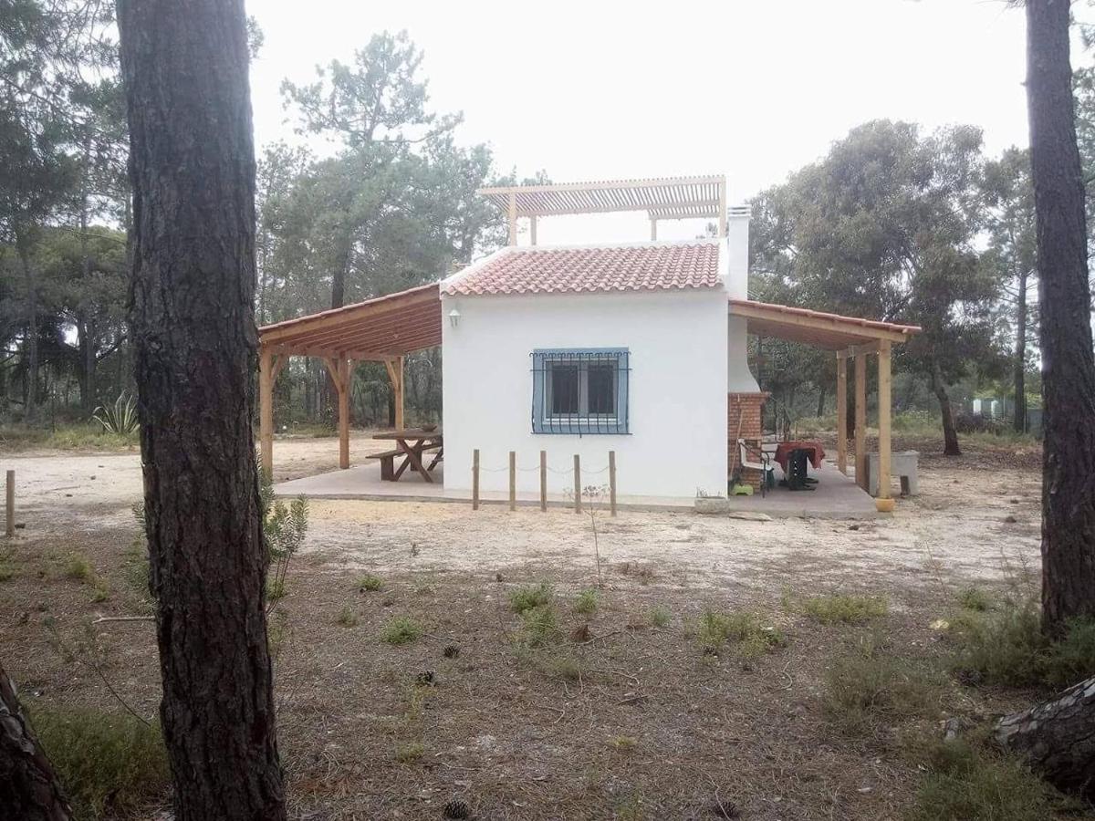 Casa Do Pinheiro - Parque Natural Da Ria Formosa. تافيرا المظهر الخارجي الصورة