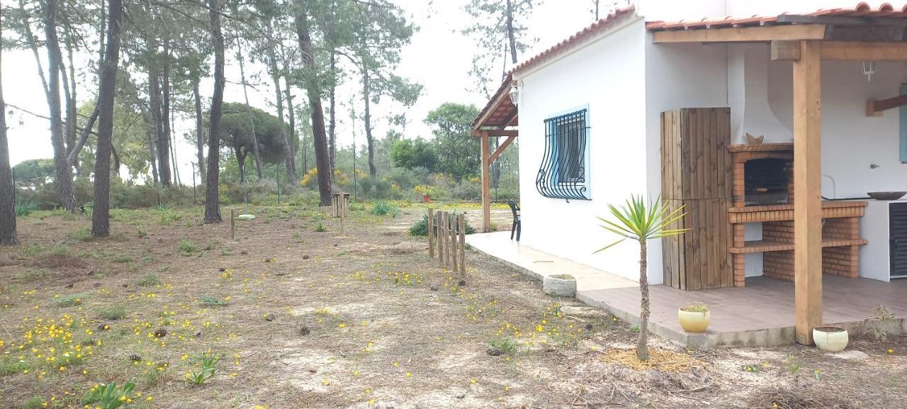 Casa Do Pinheiro - Parque Natural Da Ria Formosa. تافيرا المظهر الخارجي الصورة