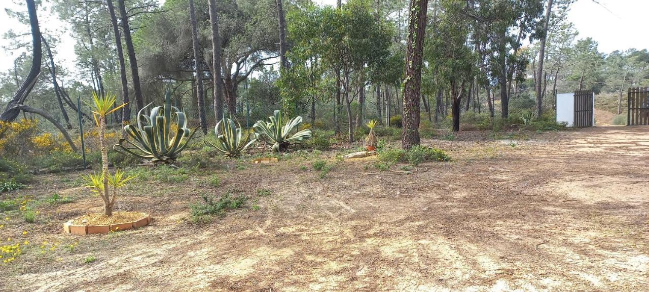Casa Do Pinheiro - Parque Natural Da Ria Formosa. تافيرا المظهر الخارجي الصورة