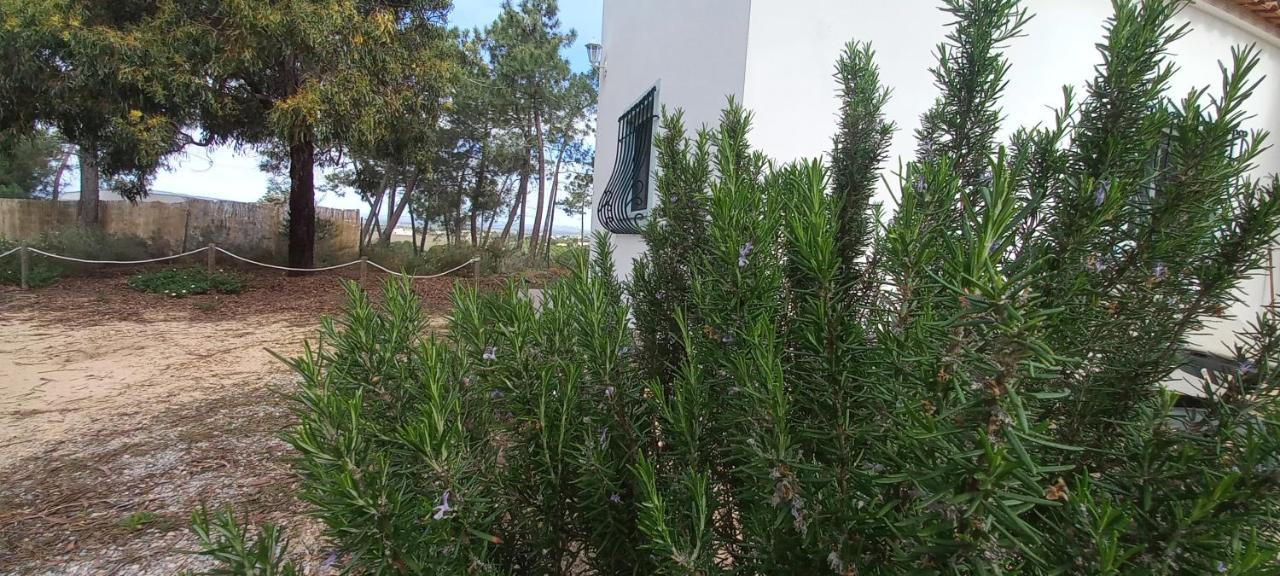 Casa Do Pinheiro - Parque Natural Da Ria Formosa. تافيرا المظهر الخارجي الصورة