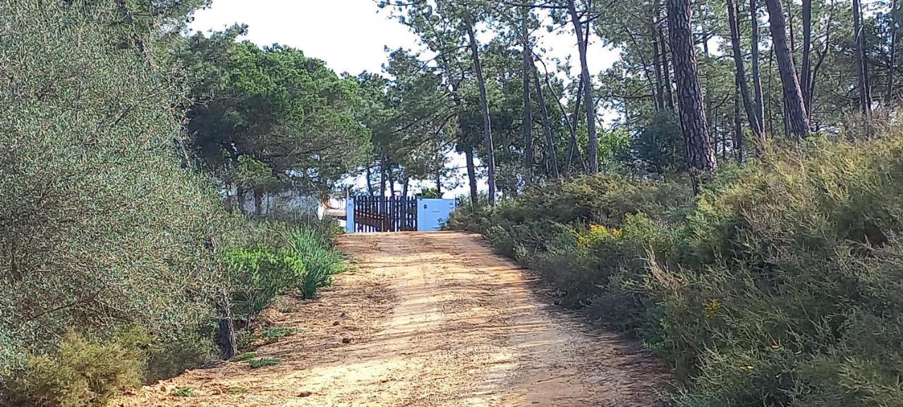 Casa Do Pinheiro - Parque Natural Da Ria Formosa. تافيرا المظهر الخارجي الصورة
