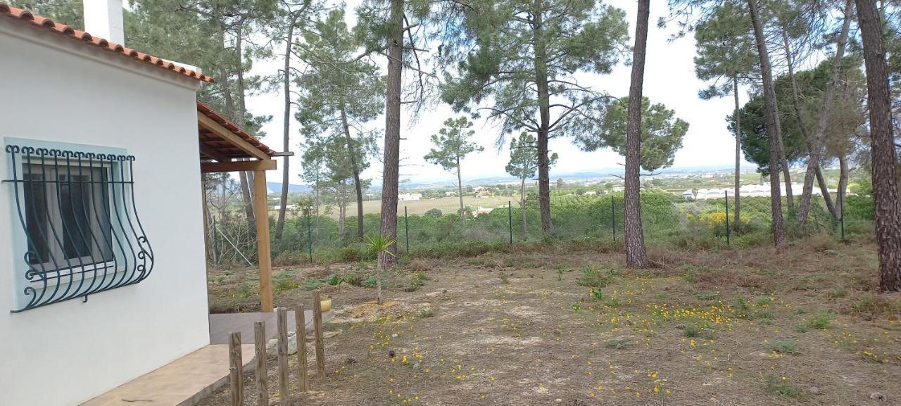 Casa Do Pinheiro - Parque Natural Da Ria Formosa. تافيرا المظهر الخارجي الصورة