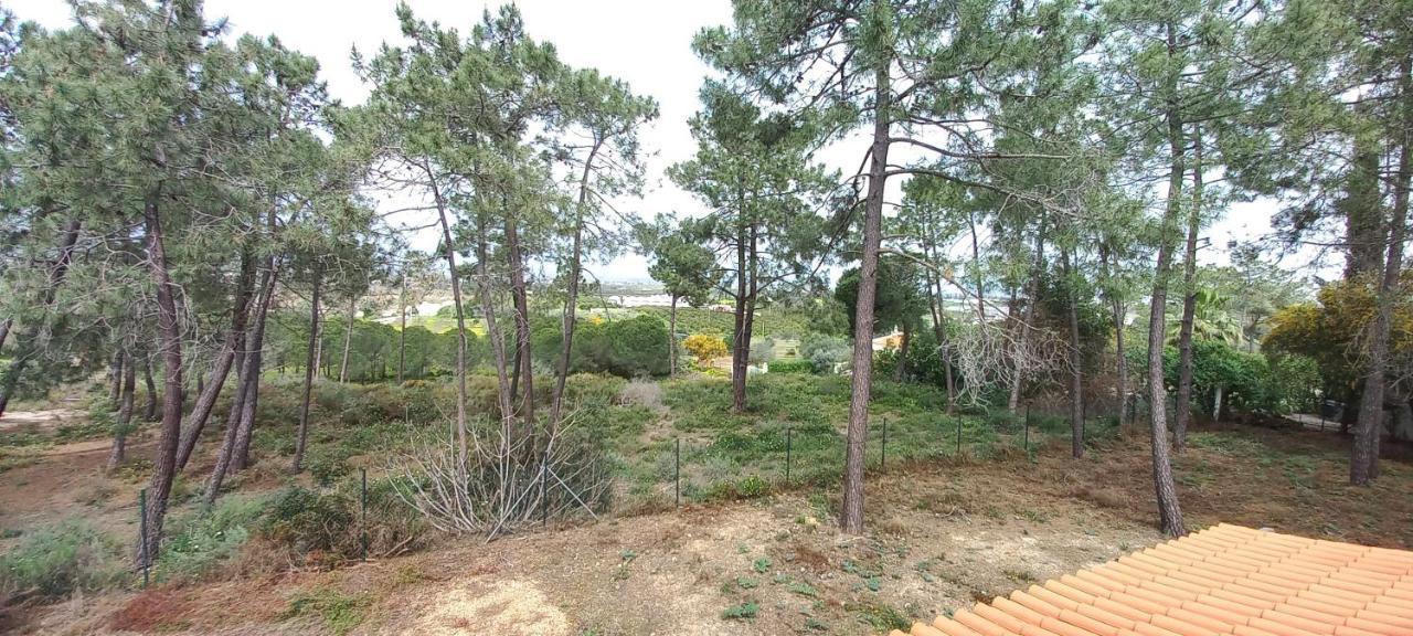 Casa Do Pinheiro - Parque Natural Da Ria Formosa. تافيرا المظهر الخارجي الصورة